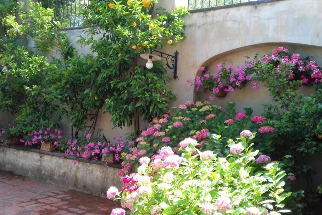 Apartment In Luxuryproperty Privatepool Garden Bbq Airc X8 Castelnuovo Di Porto Екстериор снимка